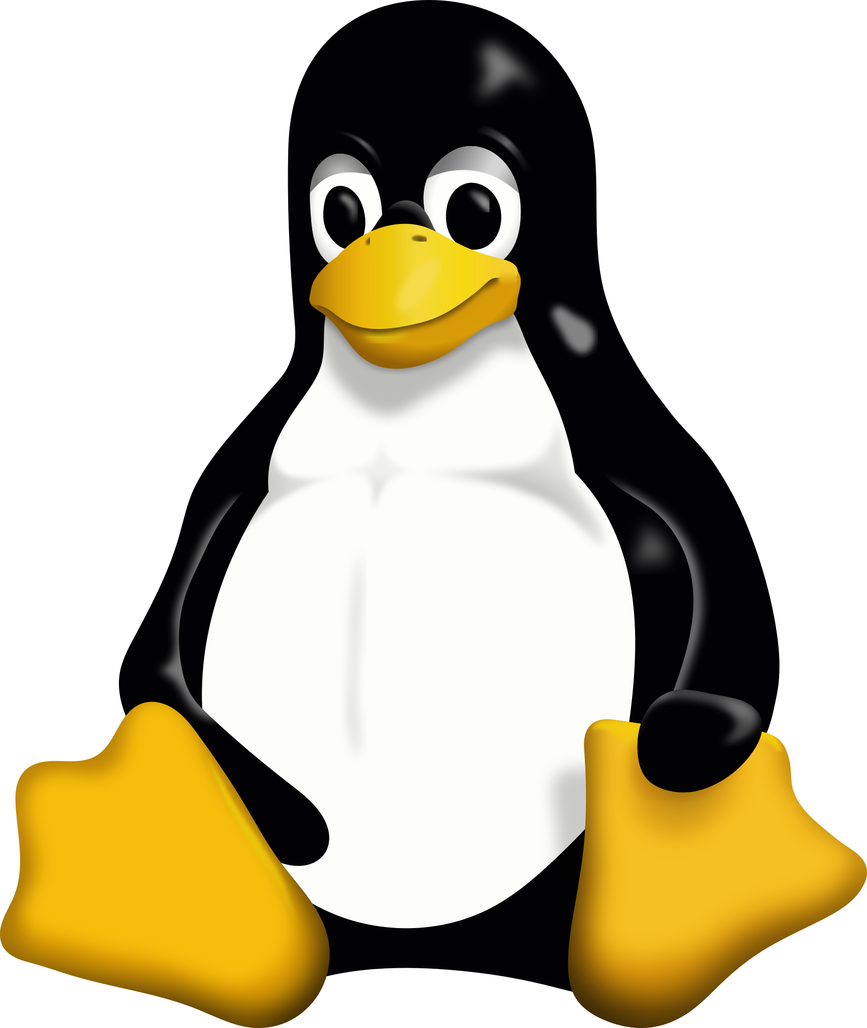 JavaScript